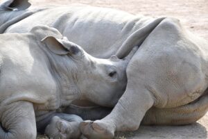 育児に役立つ資格はどれを取得すべき？