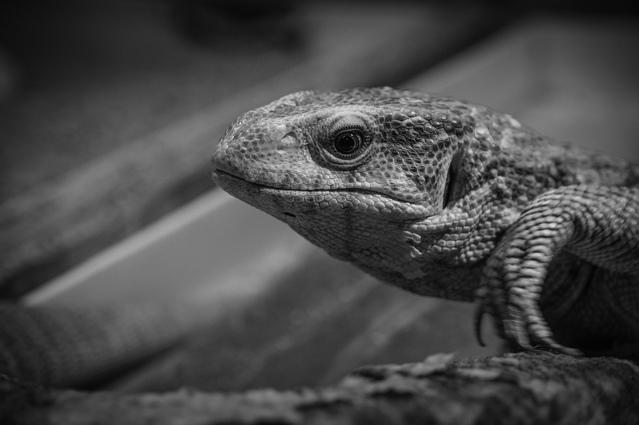 主婦が在宅で取得できる資格にはどんなものがある？