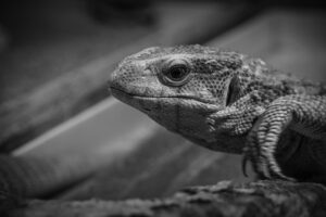 通信講座を比較して主婦におすすめの選び方は？