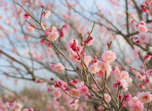 DTP資格の取り方について知っておくべきステップは？