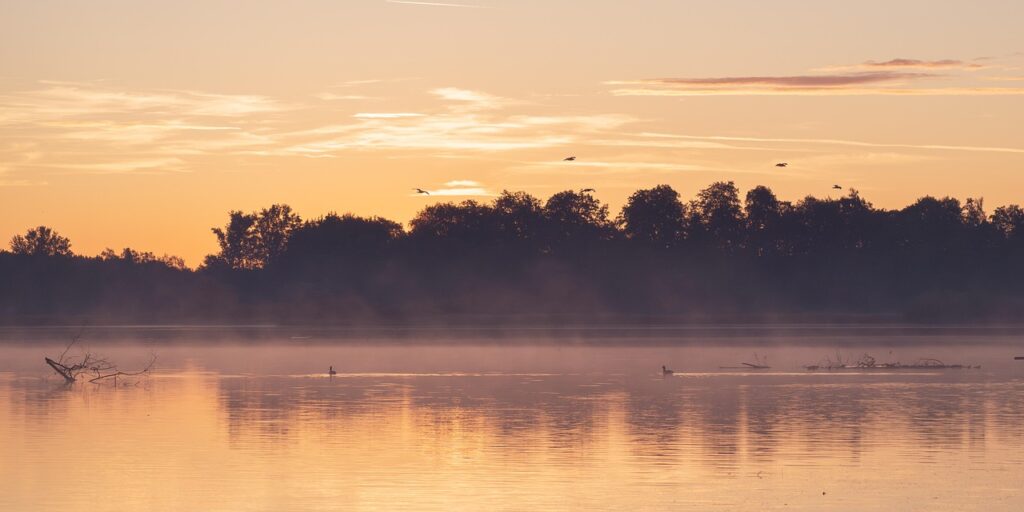 主婦がパソコン基礎を学ぶための資格は何がおすすめ？