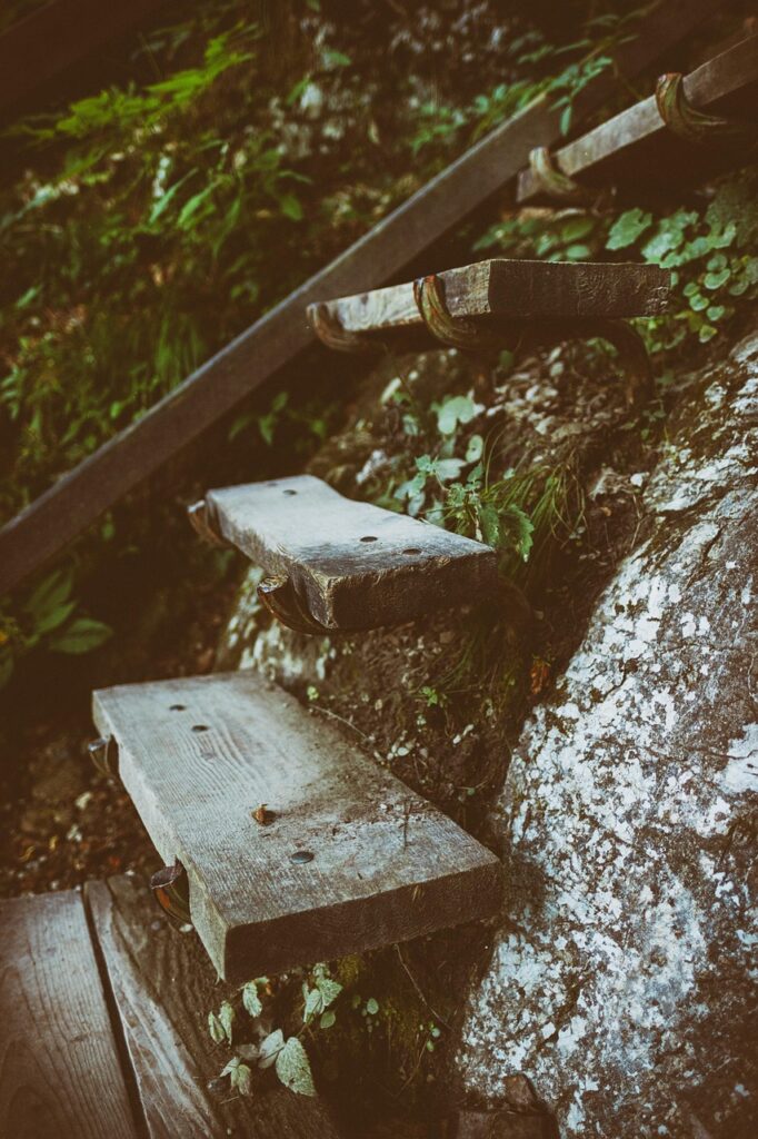 行政書士試験の難易度はどのくらい？