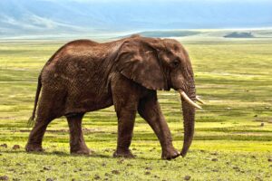 ママ資格を取得するための予約方法は？